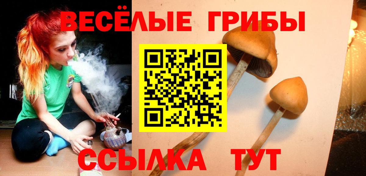 Галлюциногенные грибы Cubensis Мытищи